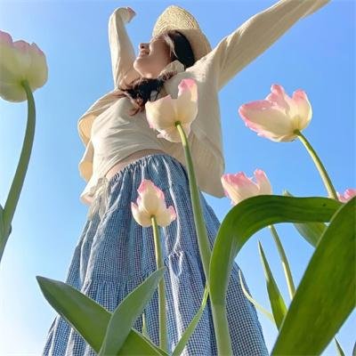 五星圣诞节